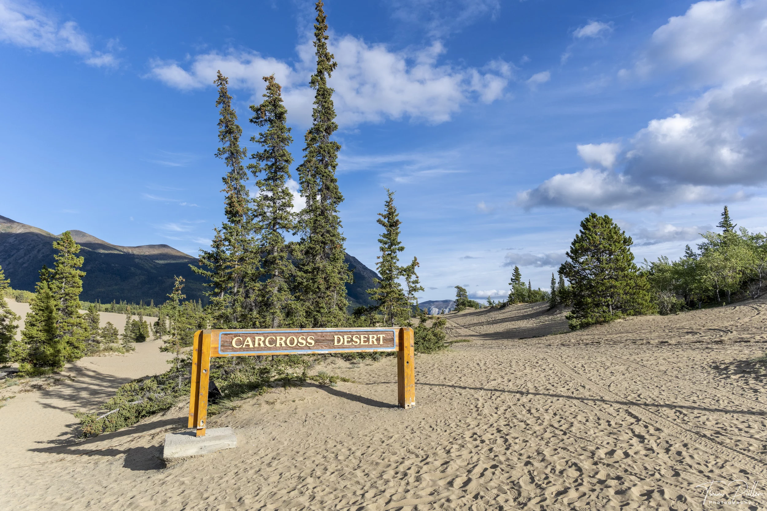 TimmsReisenLogo-Divi3