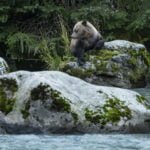 Alaska: Tag 51 – Ein tierisch guter Tag (Teil 2)