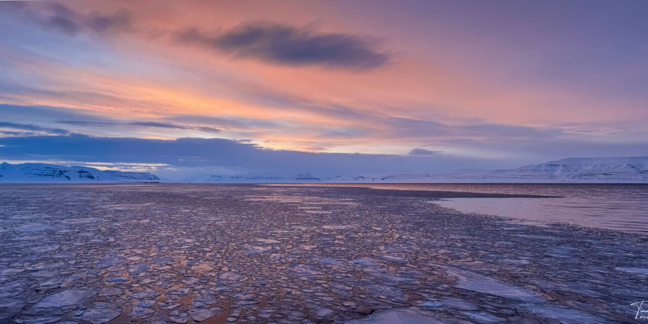 Winterzauber Tag 12: Rückkehr nach Longyearbyen