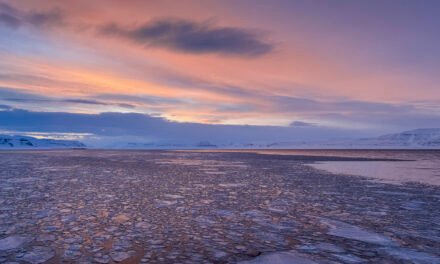 Winterzauber Tag 12: Rückkehr nach Longyearbyen