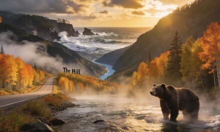 Rückkehr nach Kanada: Die Reiseroute