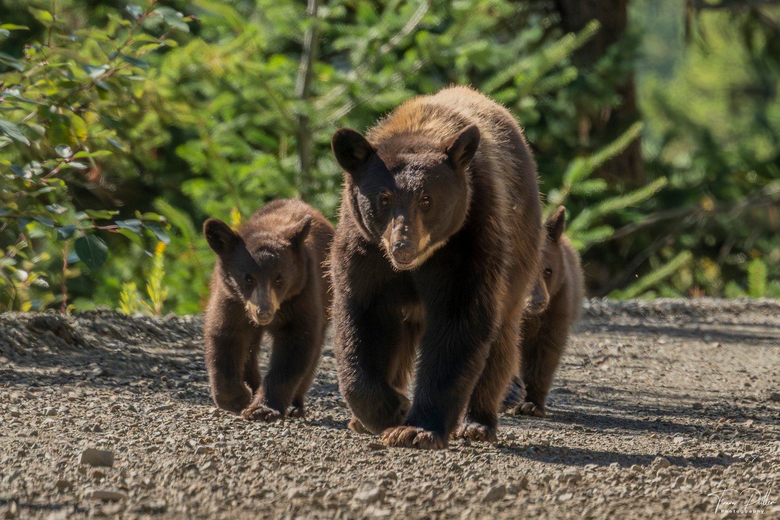 Tag 07: The Hill