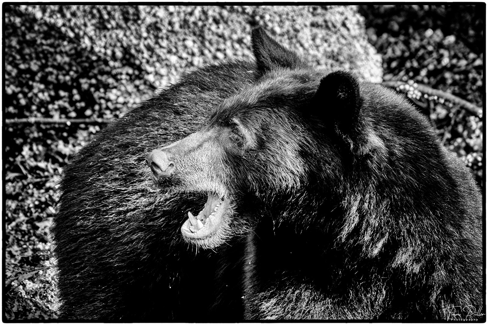 Z8W_5636-Bearbeitet