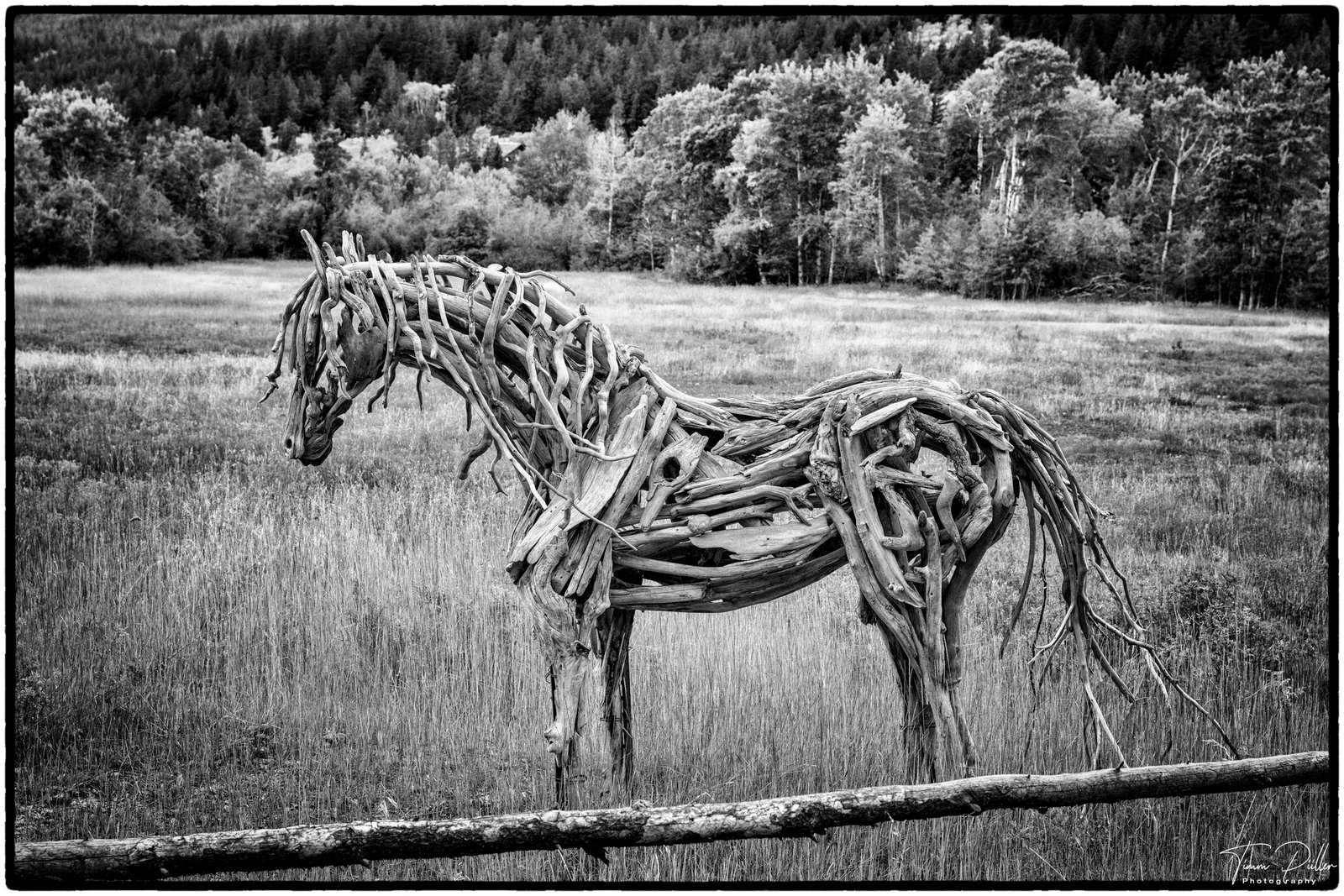 Z9W_2259-Bearbeitet