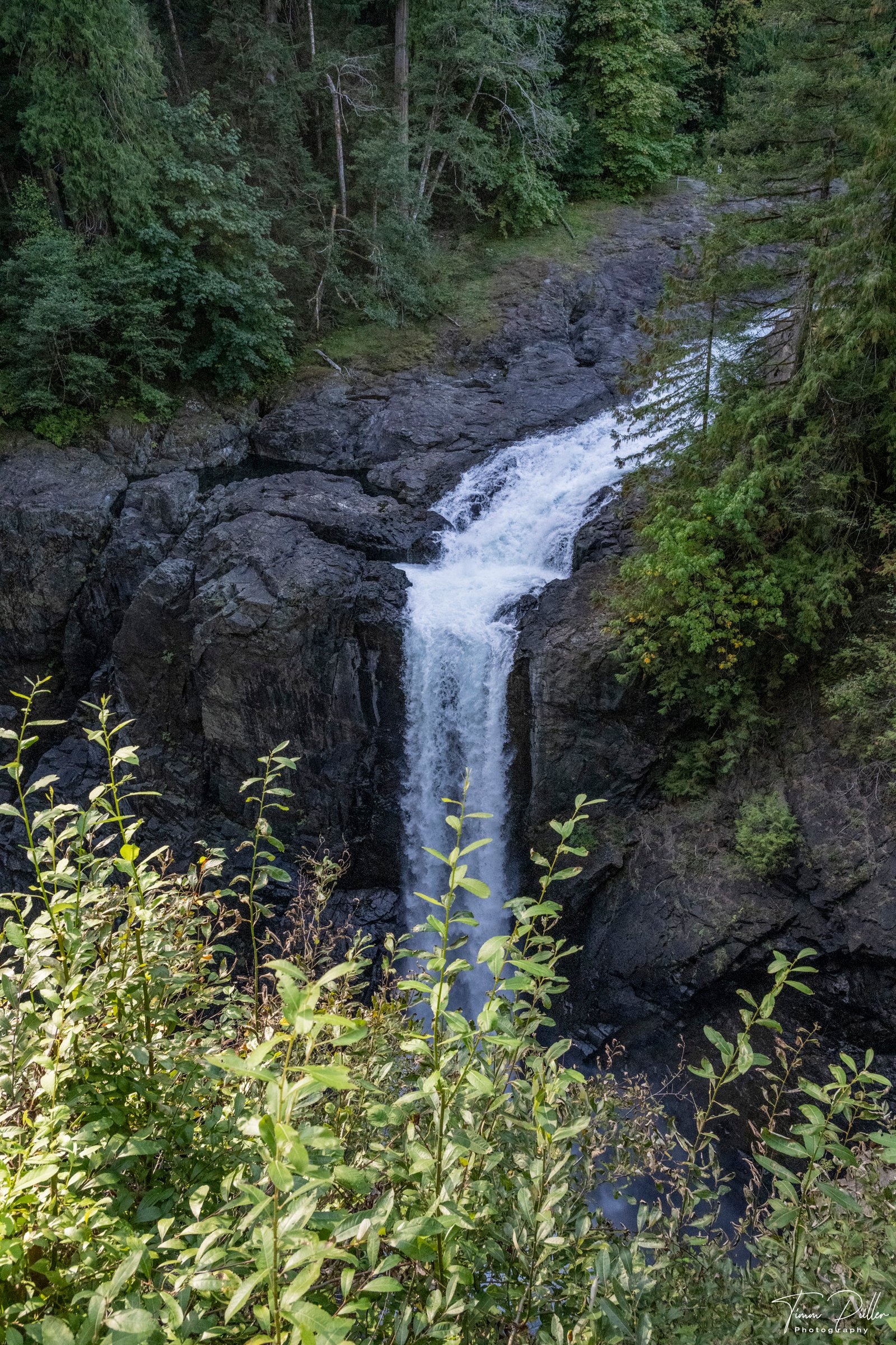 Z9W_2895